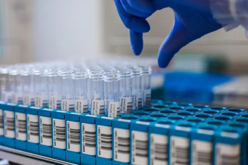 Numbered sample vials arranged in a laboratory rack for identification and testing